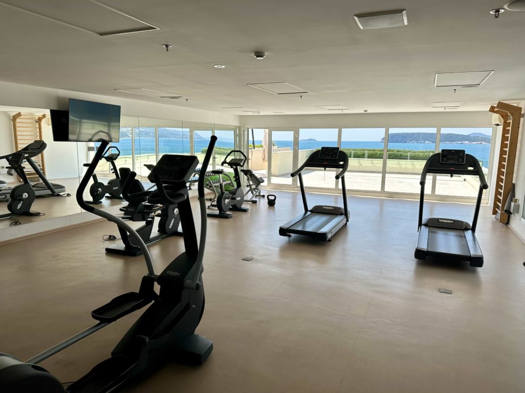 A selection of cardio machines in a fitness room, with a terrace out front and views over the sea