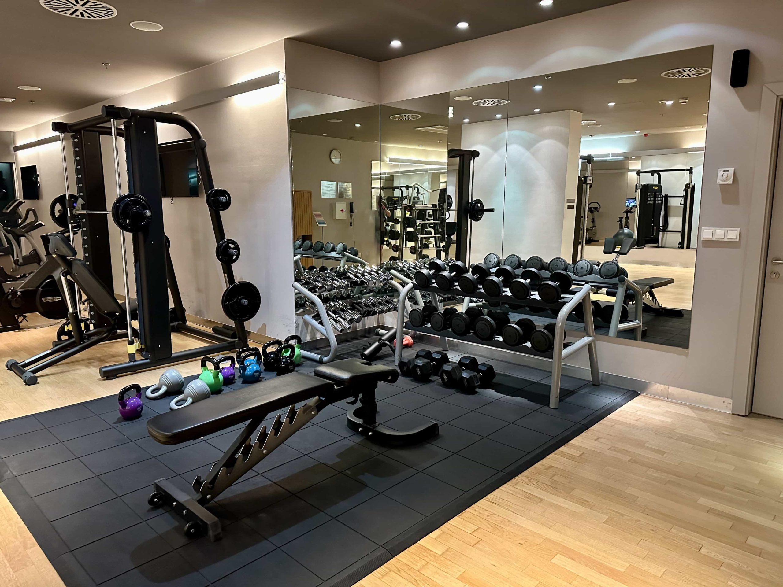 A gym equipped with  barbells, kettlebells, dumbbells, and weight machines