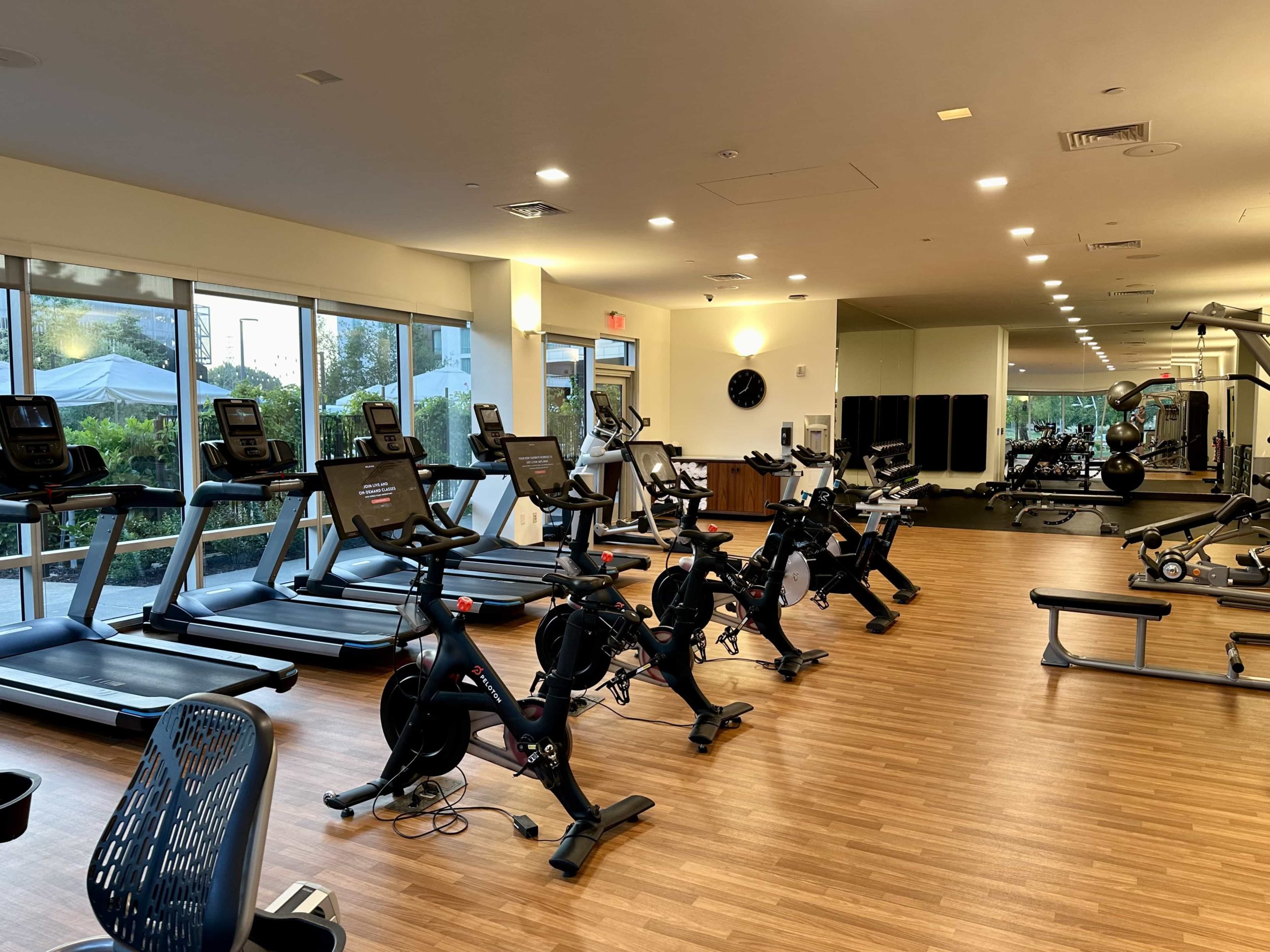 Peloton bikes, treadmills, and weight training equipment within a fitness centre